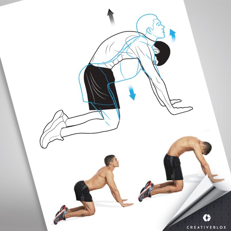 Exercise Illustrations