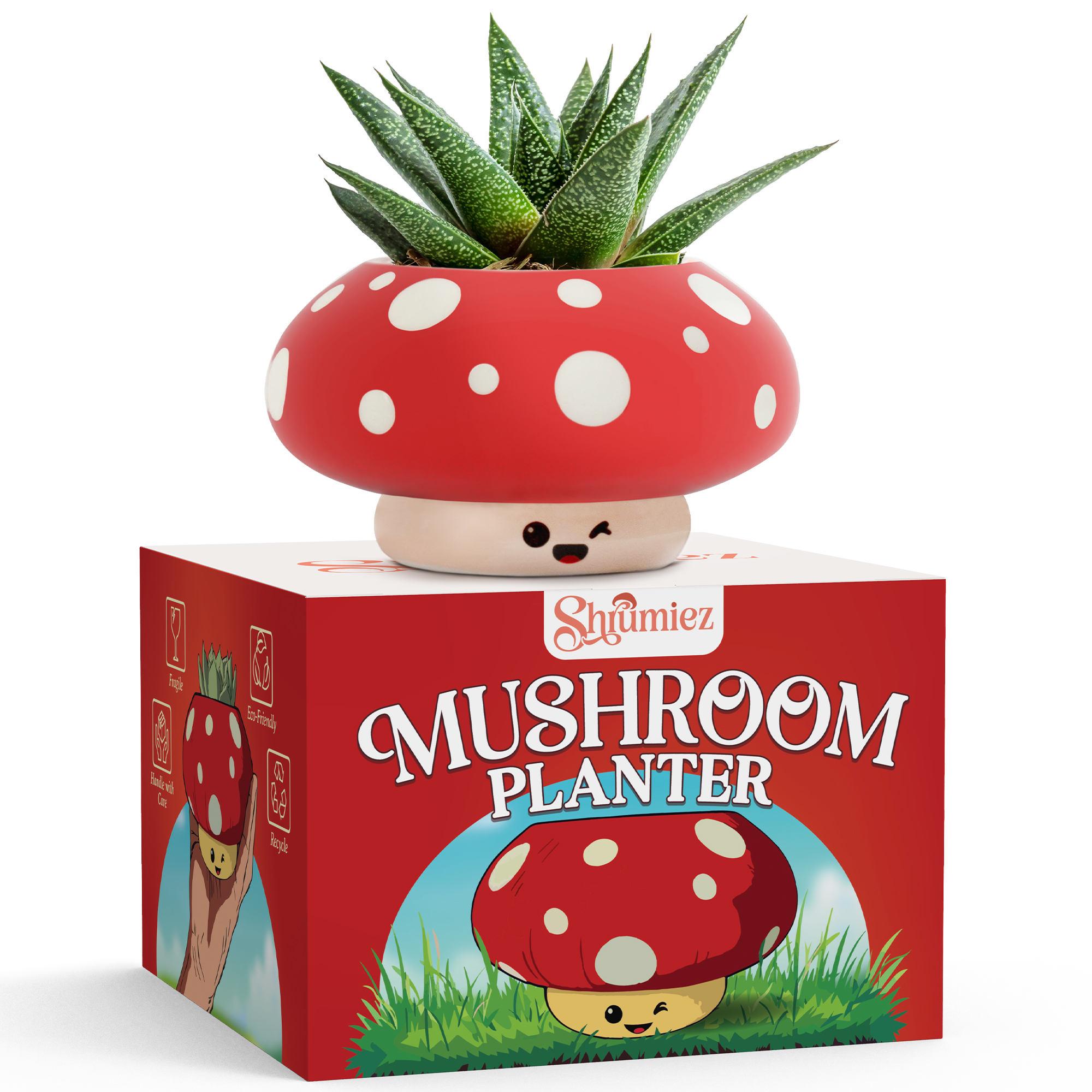 Mushroom planter Amazon main image