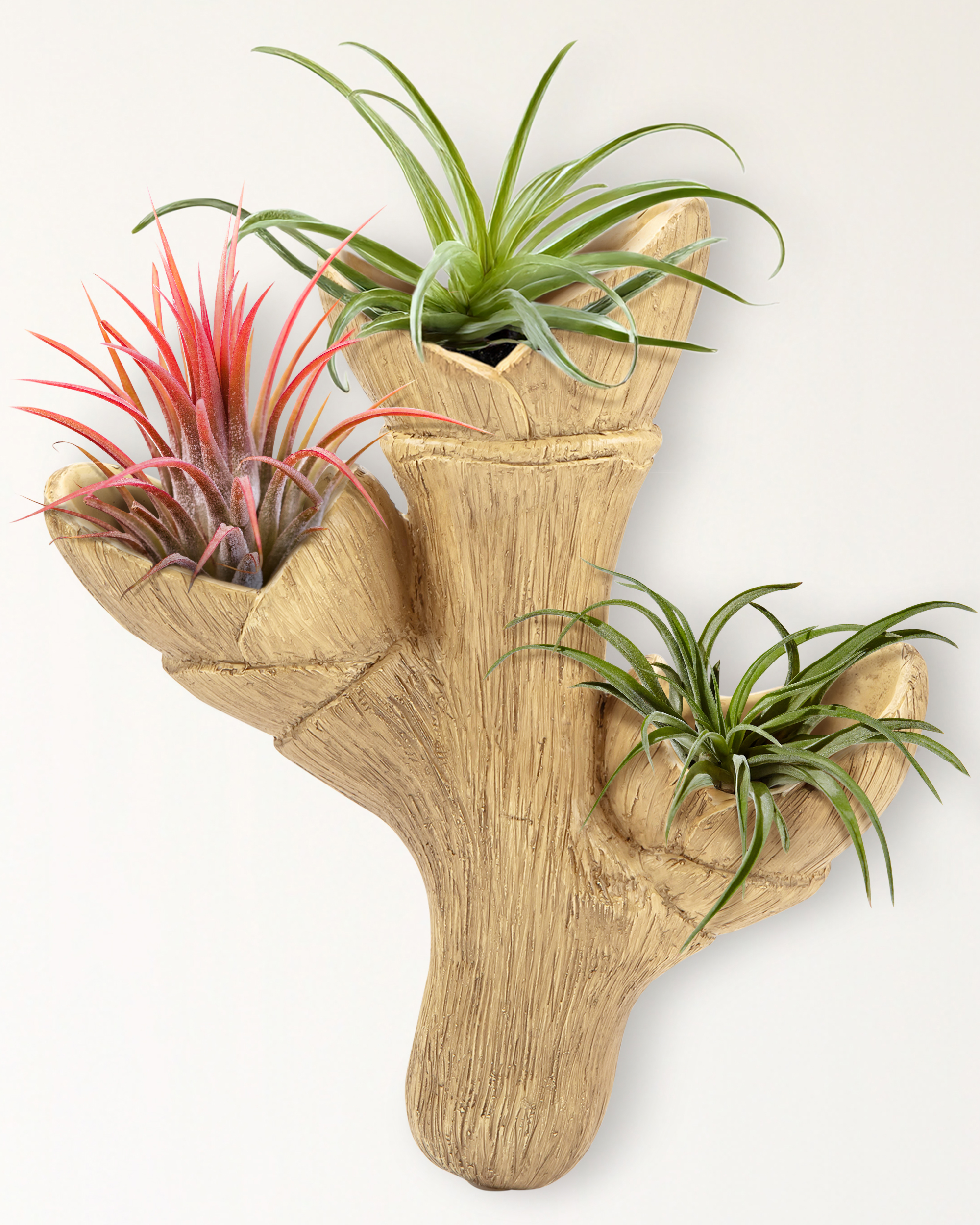 Wooden wall planter main image 1